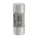 Eaton Bussmann Series Low Voltage Cylindrical Fuse C22G63 image 1