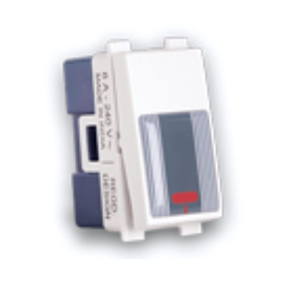 Leon Brand Switch DSW-16I