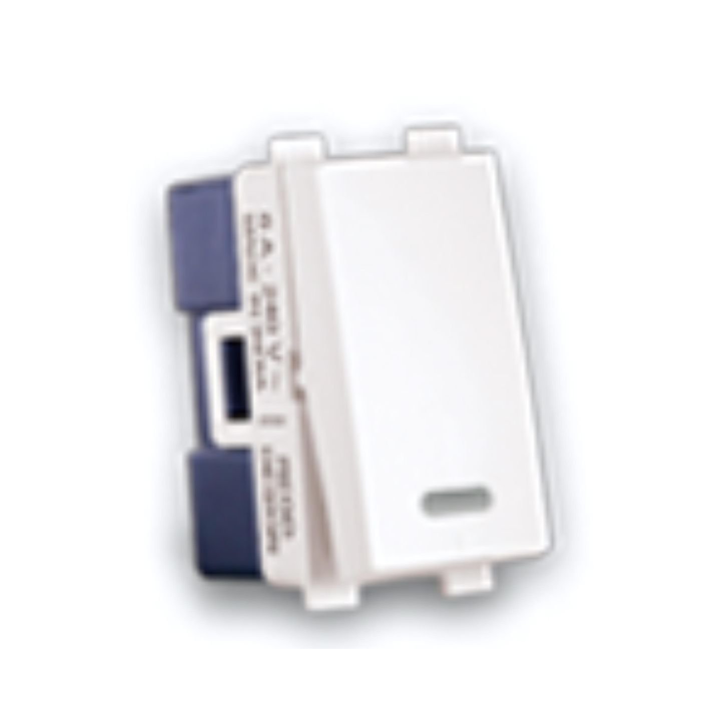 Leon_Brand_Switch_PSW-6.16